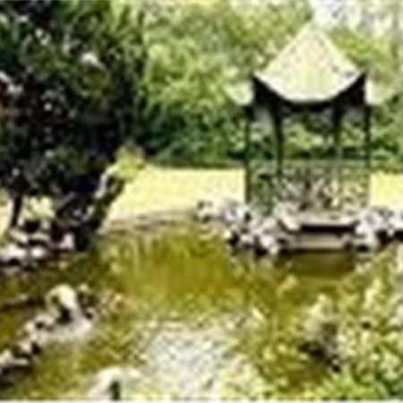 Cypress Hotel Jin Jiang Shanghai Exterior photo